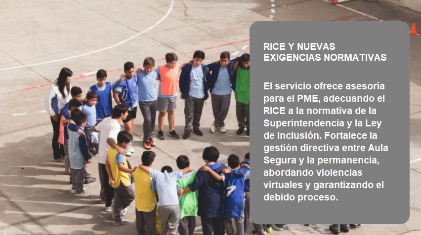 Grupo de estudiantes en patio escolar, con texto sobre asesoría RICE y nuevas exigencias normativas. Corporación Verne