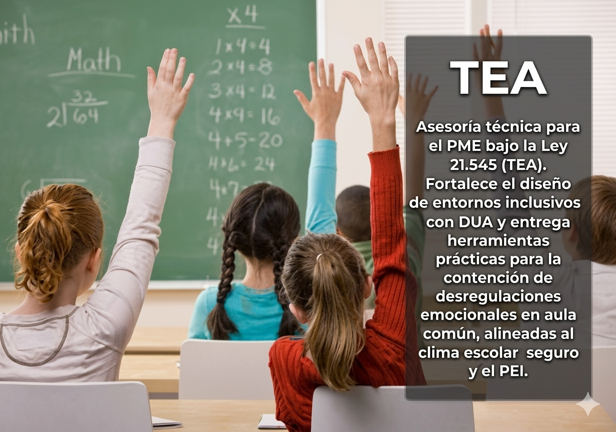 Estudiantes levantan las manos en un aula; sobreimpresión “TEA” con texto sobre asesoría técnica y apoyo. Corporación Verne